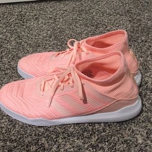 pink predators indoor